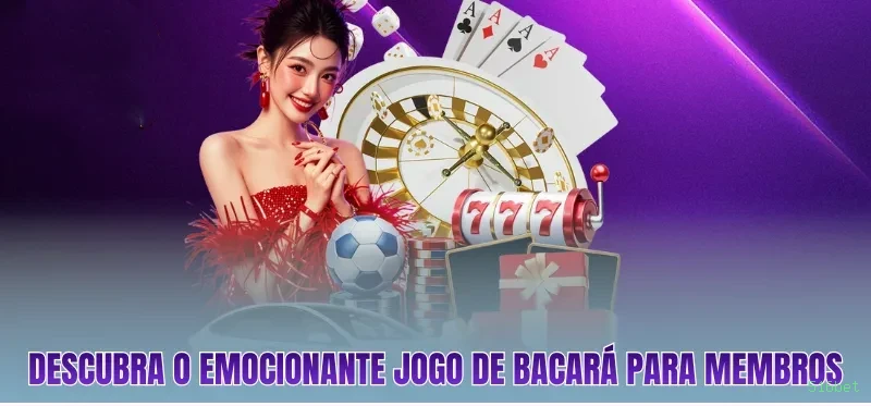 Programa VIP 516bet